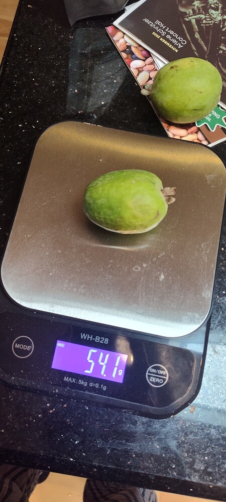 IMG_20251124_095006177_HDR