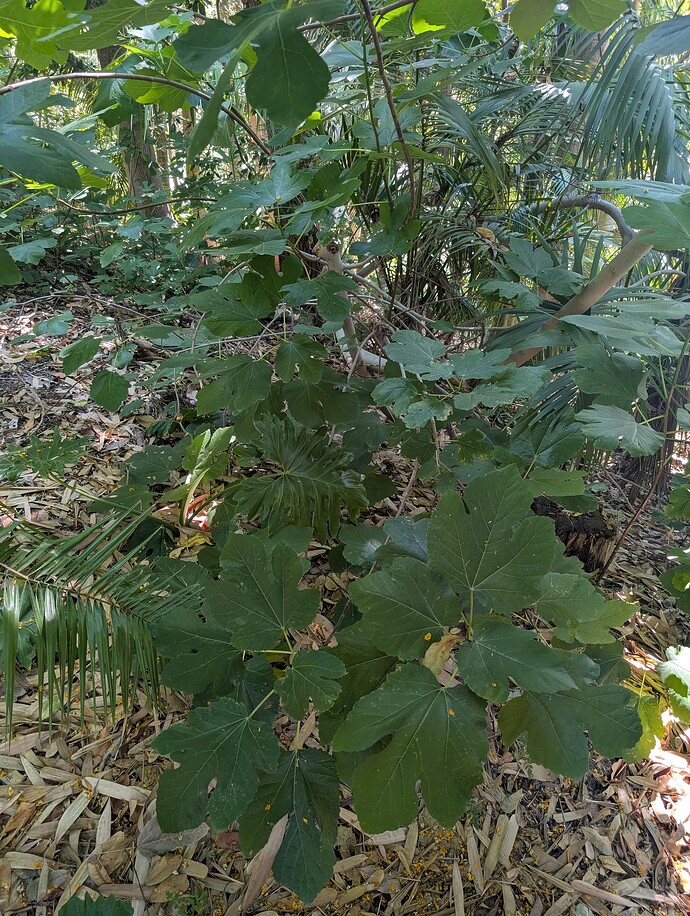 PXL_20250723_170744270