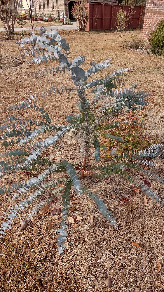 IMG_20251209_111328128_HDR