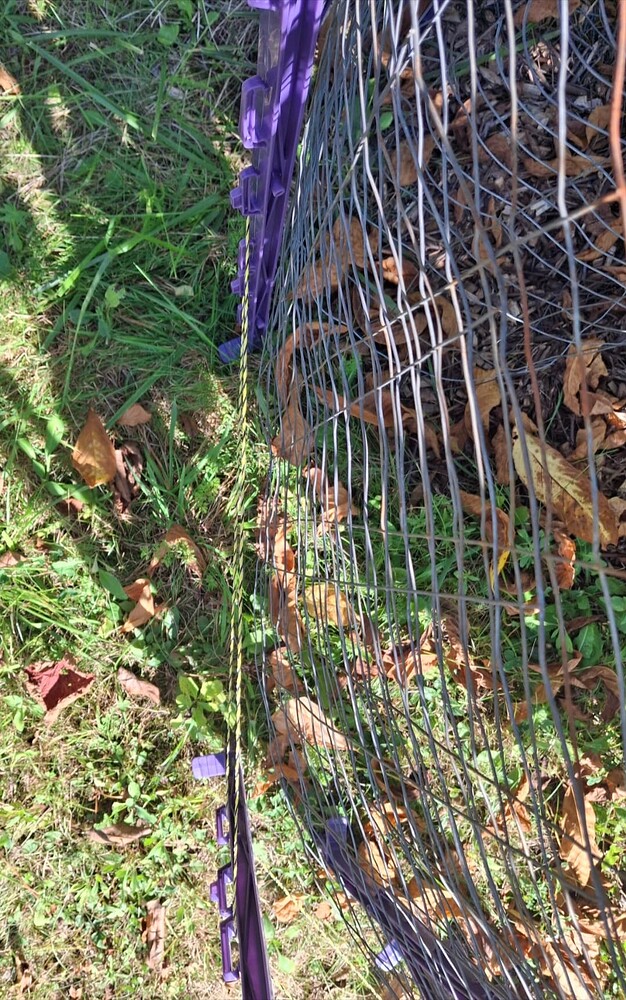 Screenshot_20251015_195705_Gallery