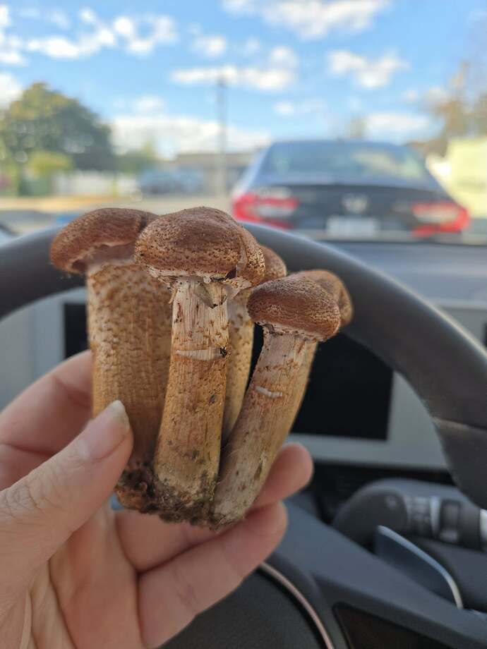 573589463_10234473519034165_7314553673949402697_n