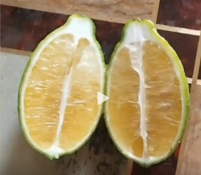 WhatsApp Image 2026-01-16 at 14.00.59