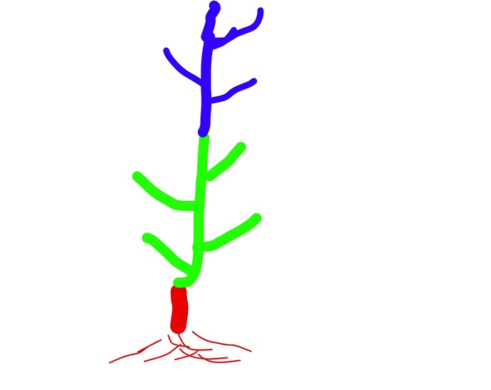 Polish_20260205_232710498