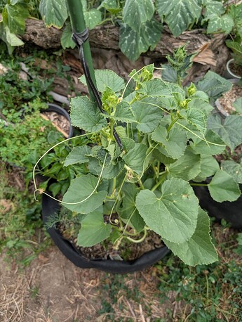 PXL_20250718_232158125