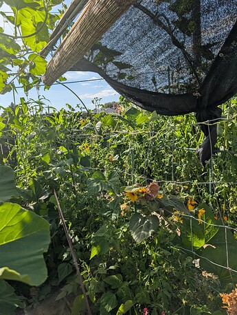 PXL_20250814_233337861