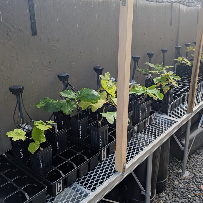 PXL_20250918_225312372~2