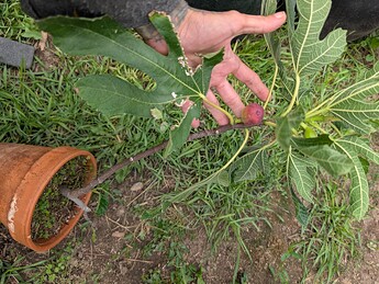 PXL_20250806_194748526