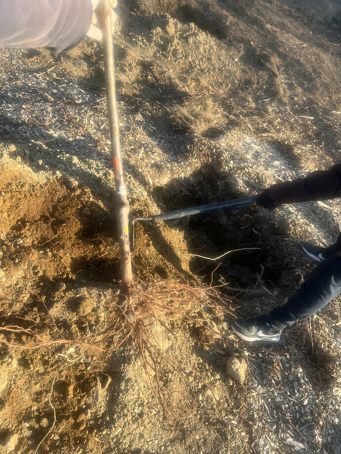 2026-04-09_18-10-41_911