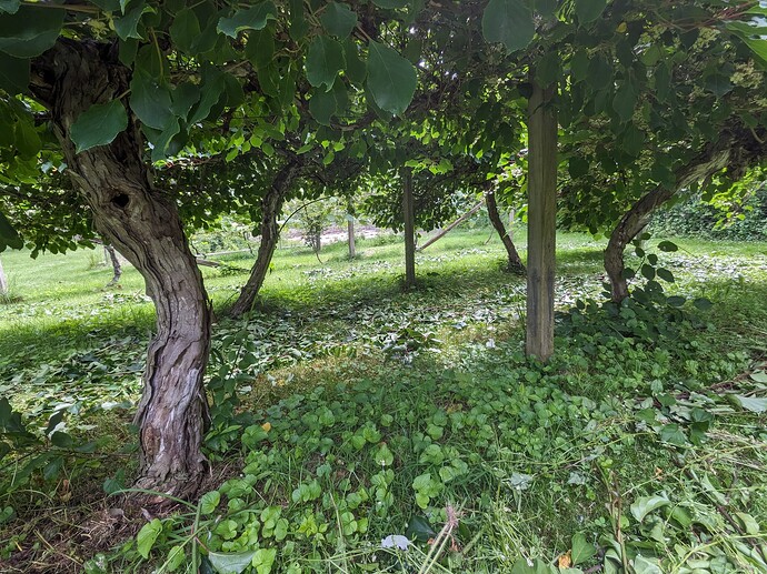 PXL_20250615_152026640