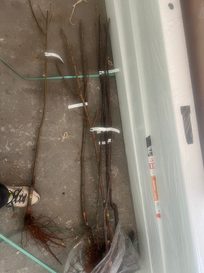 2026-04-09_17-47-07_902