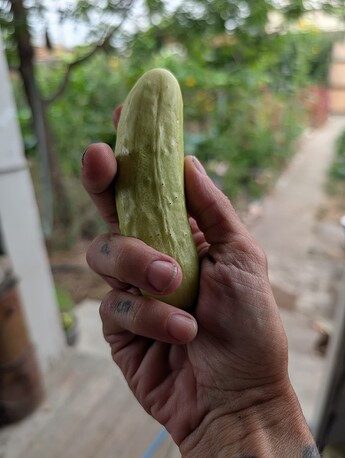 PXL_20250806_182417223