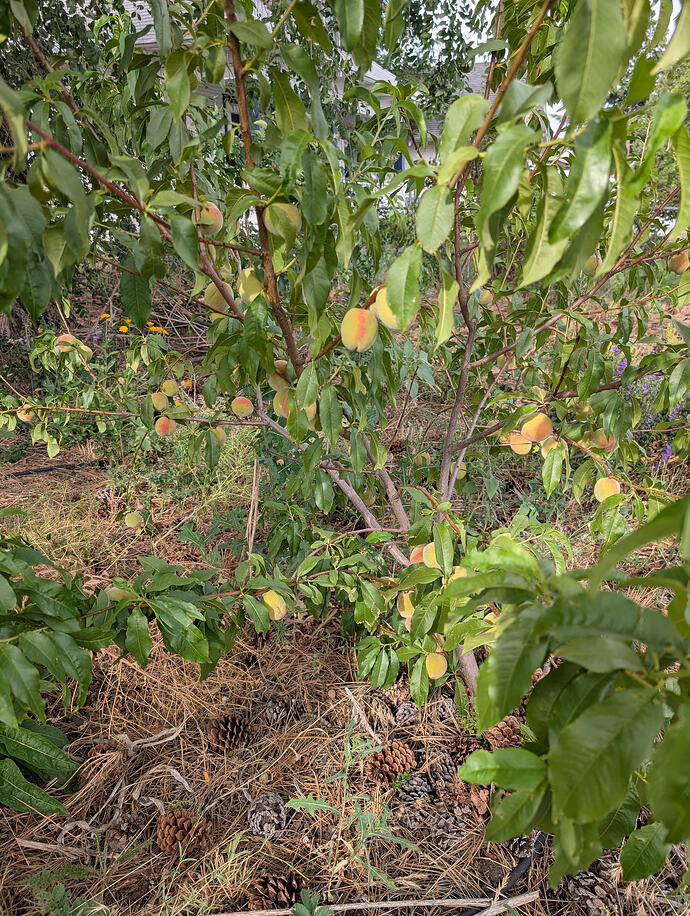 PXL_20260713_002204088
