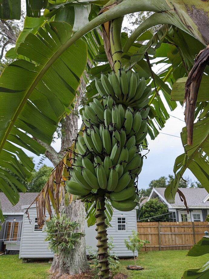 PXL_20250823_115910300