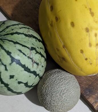 IMG_20240822_204950_950