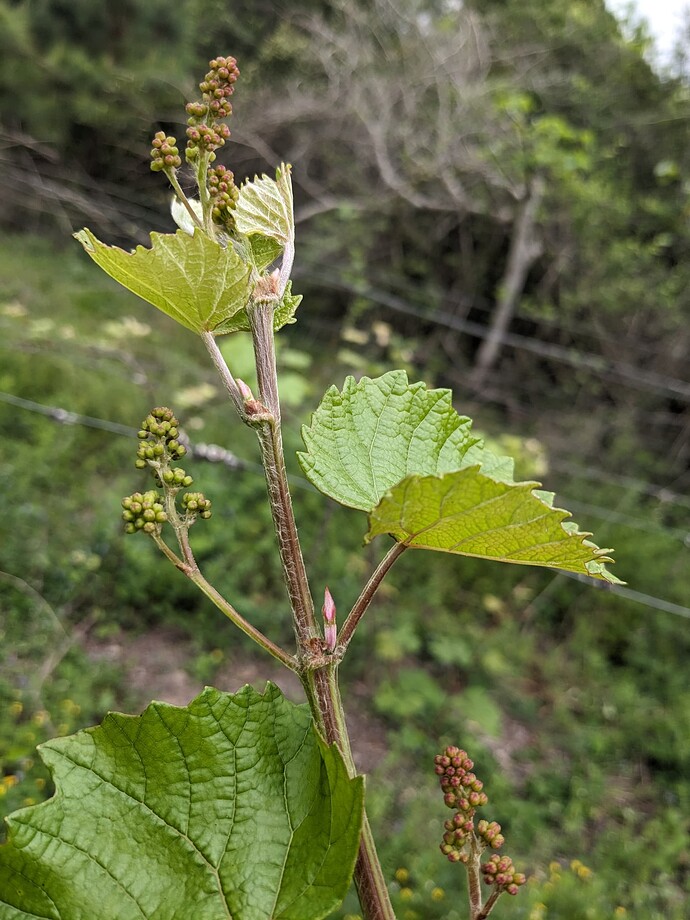 PXL_20250330_161222827