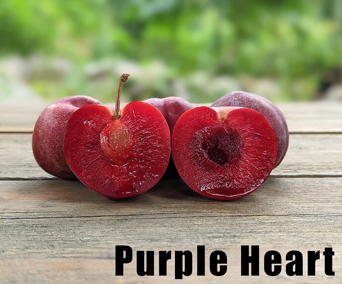 Purple Heart3_2025