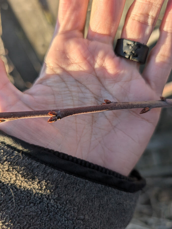 PXL_20260301_004142040