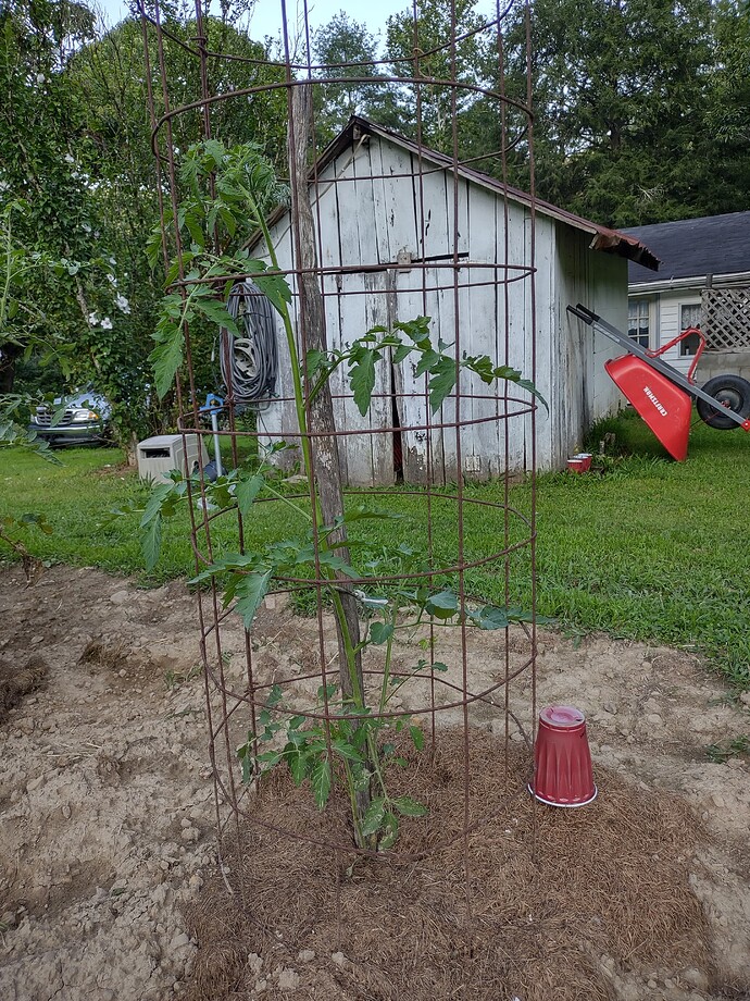 IMG_20250722_195707567_HDR