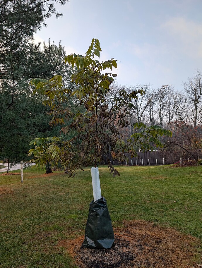 PXL_20251108_130815453