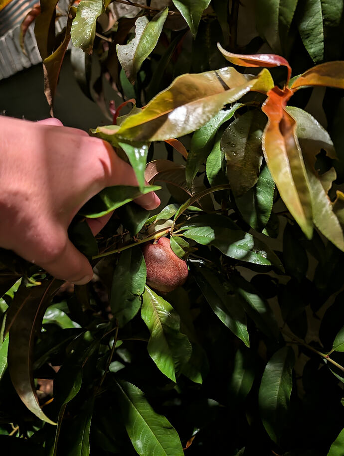 PXL_20260710_013856427