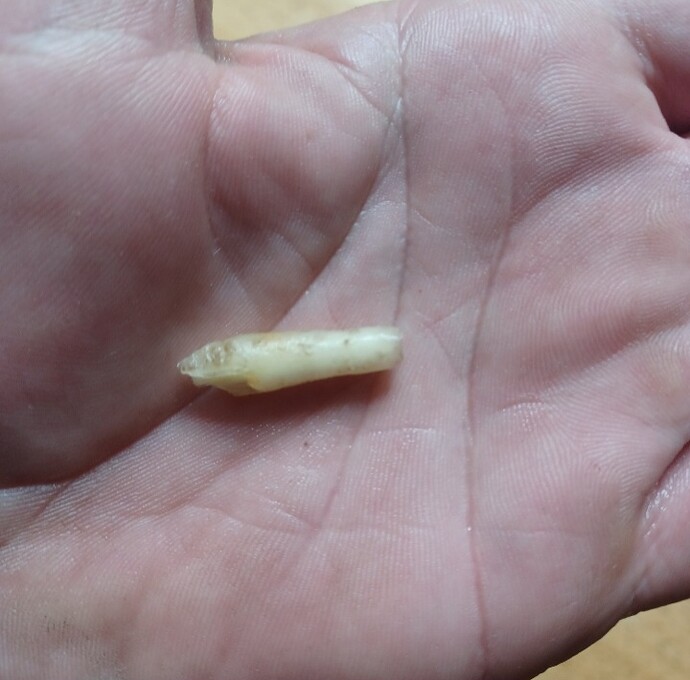 Screenshot_20251120_204256_Gallery