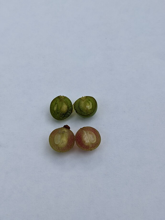 PXL_20220522_224430868