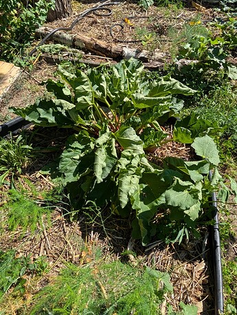 PXL_20250724_221228324