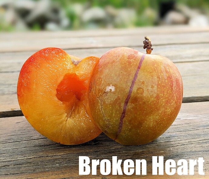 Broken Heart_2025