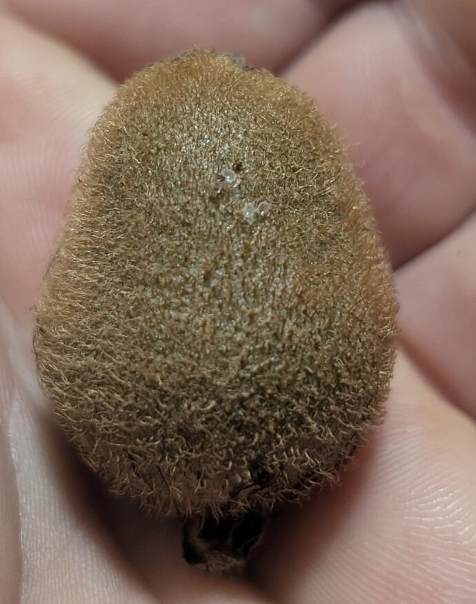 PXL_20251106_111226879~2