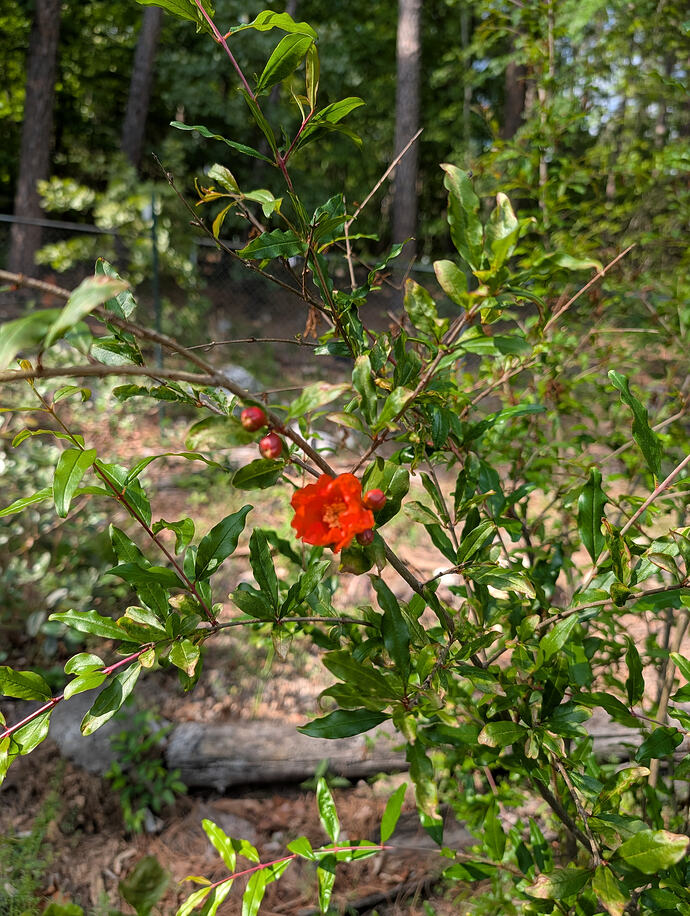 PXL_20260416_212509477