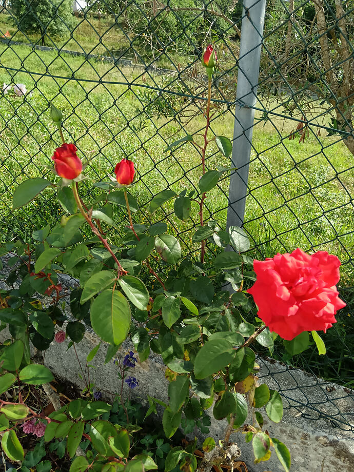 IMG_20260428_094604
