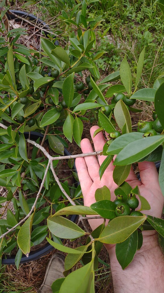 IMG_20250820_112117242