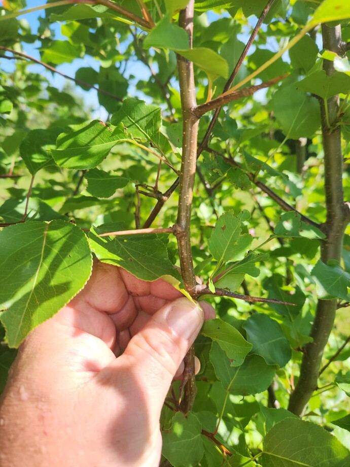 Messenger_creation_44DBDB50-C0F1-4076-8966-0B907DB96BC4