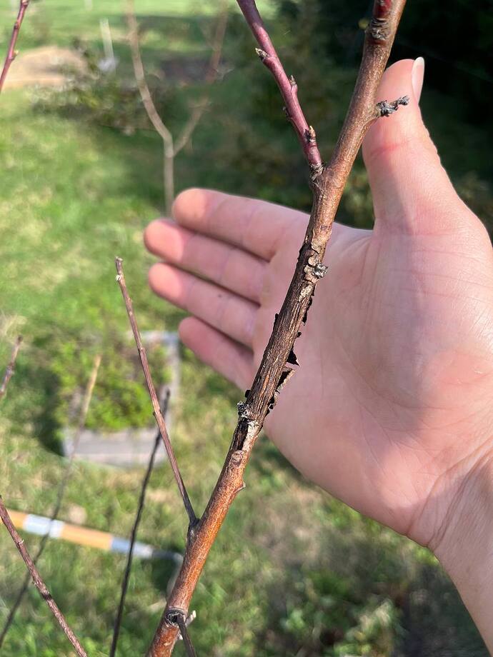 photo_2025-10-19_13-08-28