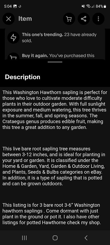 Screenshot_20260607_170404_eBay