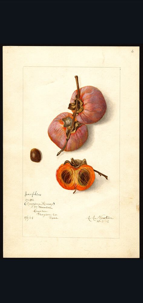 Screenshot_20260121-090714_Drive