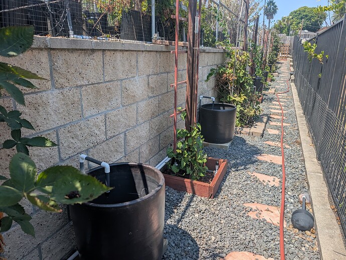 PXL_20250822_203548774