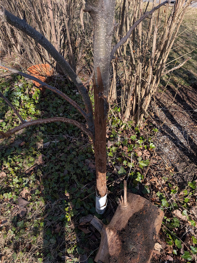 WhatsApp Image 2026-03-25 at 16.32.03