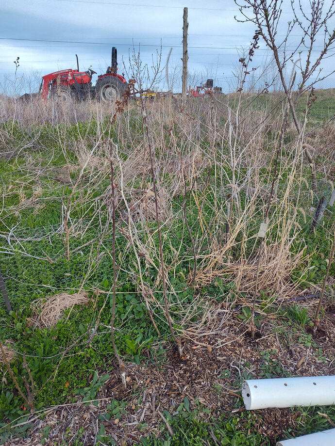 IMG_20260324_184947886_HDR