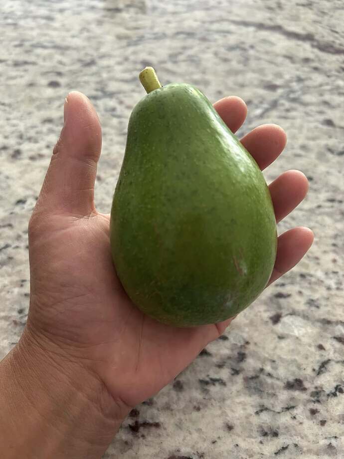 515440201_10237046026112161_831457362358748913_n