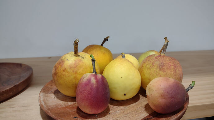 IMG_20251117_181539506