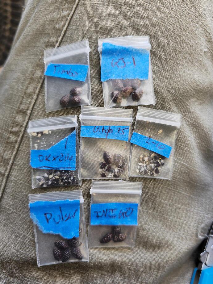 signal-2026-02-12-22-14-54-846