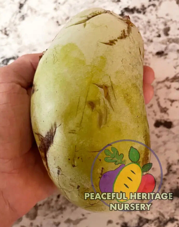 Screenshot 2025-09-27 at 11.39.58 AM