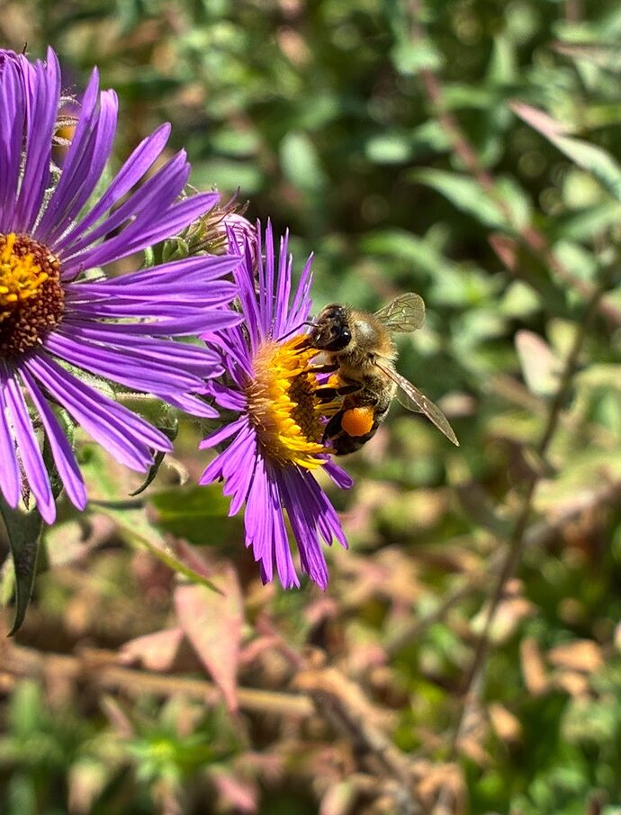 556019654_10172936758970088_1693985793545157952_n