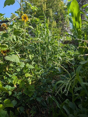 PXL_20250814_233224781