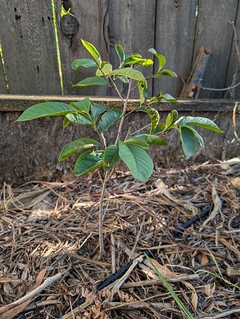 PXL_20250818_011107099