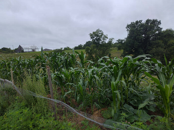 IMG_20260710_075131305_HDR