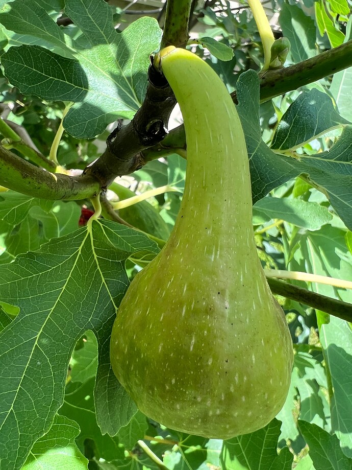 2025-06-19_15-03-12_087