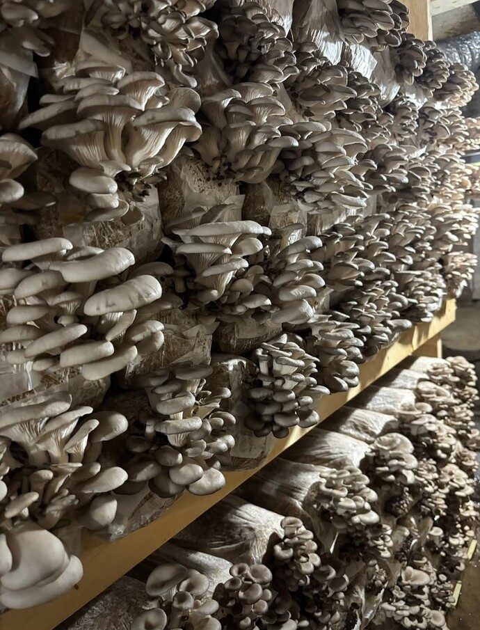 Screenshot_20251201_192612_Facebook