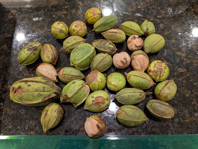 PXL_20250915_005435782